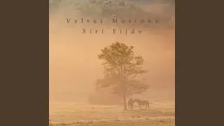 Velvet Motions
