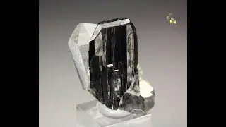 #21187 - WOLFRAMITE GROUP, QUARTZ, Yaogangxian Mine, China