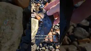 Mudlarking on the Thames  - From the Slaughterhouses on the Thames