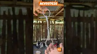 EL FRENO DE CABALLO 😍 #humor #comedy #funny