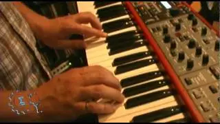 'Body Without Organs' Live on the Indie Machine