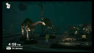 Animal Crossing Fossil Tour Video