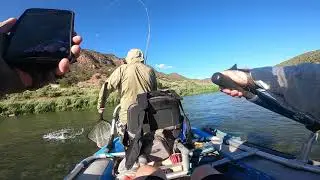 Fly Fishing the Green River Utah July 2022