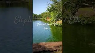 🇱🇰 Secret of Eth Pokuna &ndash; The Giant Ancient Pond in Sri Lanka! 🐘 #travel #nature #Shorts #explore
