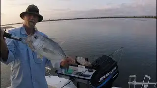 Broadwater Fishing (A Good Start To 2020)
