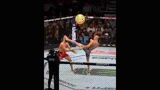 Alex Pereira vs. Jiri Prochazka #ufc #mma #pereira #prochazka #ufc303