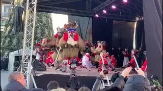 Căiuții din Zvoriștea 2023-2024 Casa de Cultura Suceava 27 Decembrie 🔝👏