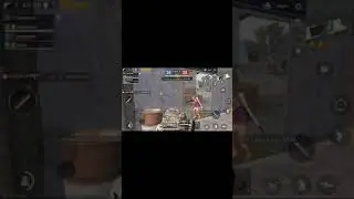La partida m&aacute;s loca de pug