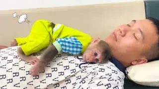You Can’t Stop Smiling! CUBIS’ Cute Antics Win Dad Over