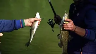 Pesca a Bolognese – I Cavedani del Tevere