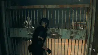Resident Evil 4 Console PS5 Chapter 14 Door Skip Again