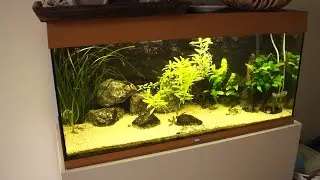 Hoe reinig je de ruiten van het aquarium