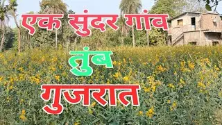 एक सुंदर गांव ( तुंब : गुजरात )|| A beautiful village ( Tumb : Gujarat ) | Indian Village Scenery |