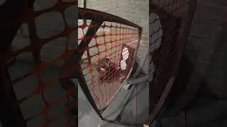 Zawody dynamiczne praktyczne Ipsc szybko idole match