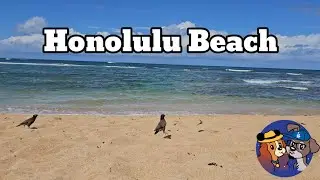 Alii Beach Vibes #hawaii