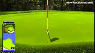 Golden Tee Great Shot on Winding Pines!