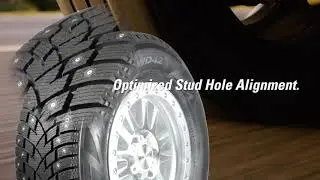 Delinte Tires - WD42
