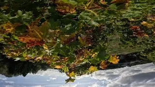 Mattyflips and powerloops (FPV freestyle)