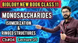 Carbohydrates & Monosaccharides Class 11 | Characteristics, Isomerism & Ring Formation | New Book