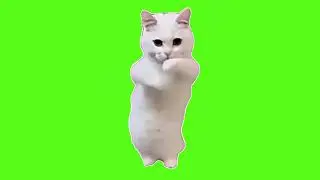Dancing Cat Meme Green Screen Video || Funny Cat Meme || Chroma Key || Content For Creators