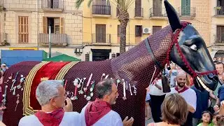 DONA EL XUMET A LES MULASSES Festa Major de Vilanova i la Geltrú -   Episodi nº 1