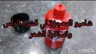 الحل النهائي لي تساقط الشعر وقشرة فروة الرأس مع نصائح لحماية شعرك