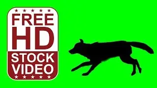 Free Stock Videos &ndash;animal silhouettes wolf running on green screen