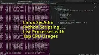 Linux SysAdm Python Scripting List Processes with Top CPU Usages #python #linux #sysadm