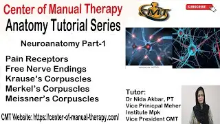 Anatomy Tutorial || Neuro Anatomy || Receptors || Part 1 || Dr Nida Akbar PT || MIPRM || Urdu || CMT