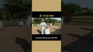 BEEKEEPING in under a minute: Trickle Feeding In Summer Dearth