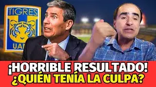 ¡VERGÜENZA EN EL VOLCÁN! OSO DE CORREA NOS MATA. ¡NOTICIAS DE TIGRES HOY!