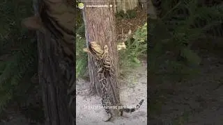 MGK Instagram Story 8/13/23