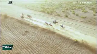 Gumel 2025 - Race 11 Division V Arewa Niger Republic Open 7F 1400M – Sahel Savannah Series