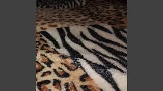 Frequency In Motion