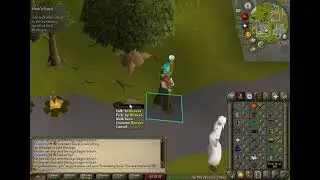Beaver pet 3400 woodcutting xp