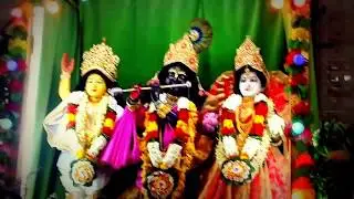 Narasinghadeber shubha abirbhav moha moha Abhishek