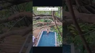 Cabana With private pool #shorts #srilanka #couple #bestplace #viral #fypシ #love #beachside #lake