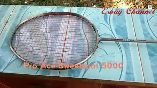 Review Raket Pro Ace Sweetspot 5000