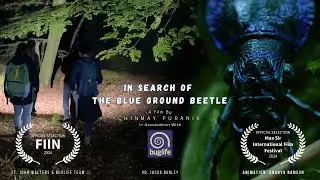 The Search of The 
