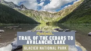 Trail of the Cedars and Avalanche Lake - Glacier National Park