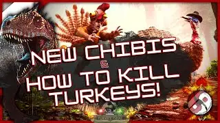 How To Kill Super Turkeys To Get Wishbones New Chibis Fjordhawk Stuffed Glowtail Turkey Trials