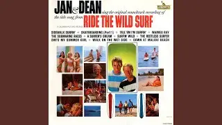 Ride The Wild Surf