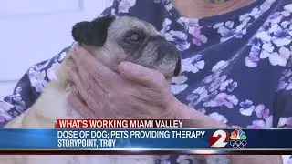 Senior living community in Troy getting dose of pet therapy
