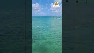 which activites are available in aruba?