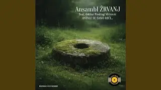 Šta će mi život (feat. Doktor Predrag Mitrović)