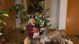 Распаковка аглаонемы из списка желаний и ещё одного растения от Pita&rsquo;s Planters