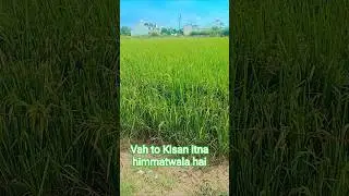 Kisan neta funny#support# viral 👍🙎🙎🙎🙎