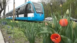 FHD. Весна. Цветы (тюльпаны, нарциссы) и новый трамвай KT4UA 