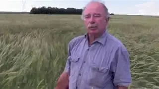 Tom Frantzen On Why He Plants Hybrid Rye
