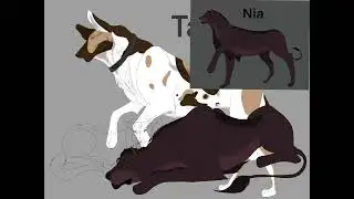 Where Silence Feels Safe&rdquo; Nia and Taya